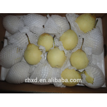 high quality Wholesale iran fresh pear fruit/fresh Shandong Ya pear